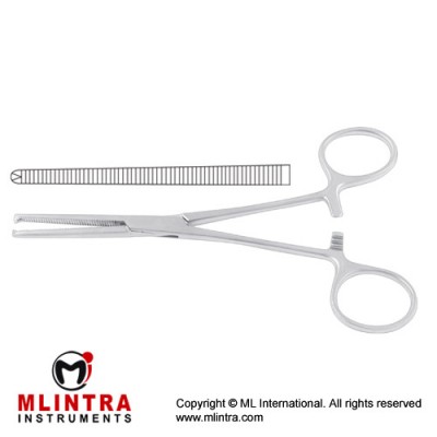 Ochsner-Kocher Haemostatic Forcep Straight - 1 x 2 Teeth Stainless Steel, 22.5 cm - 8 3/4"